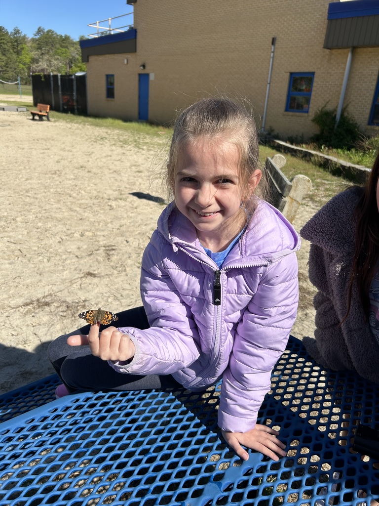 3rd grade butterfly release