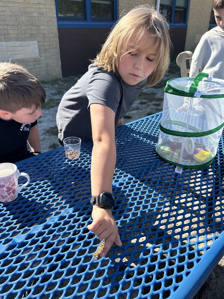 3rd grade butterfly release