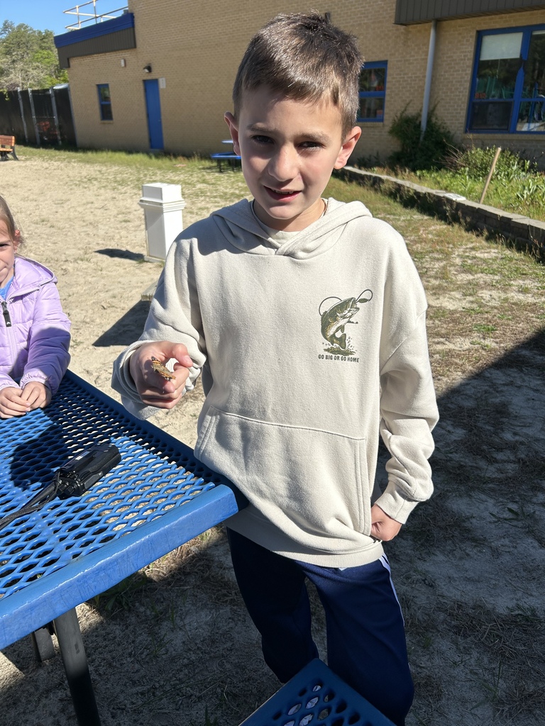 3rd grade butterfly release