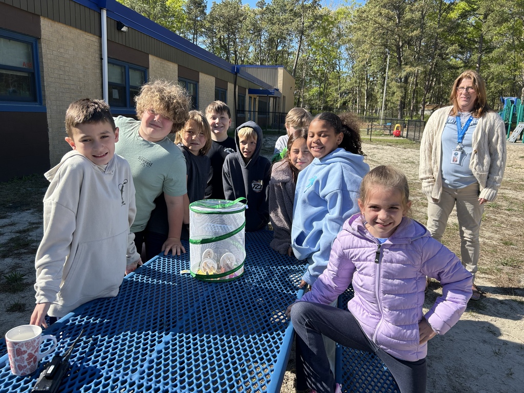 3rd grade butterfly release