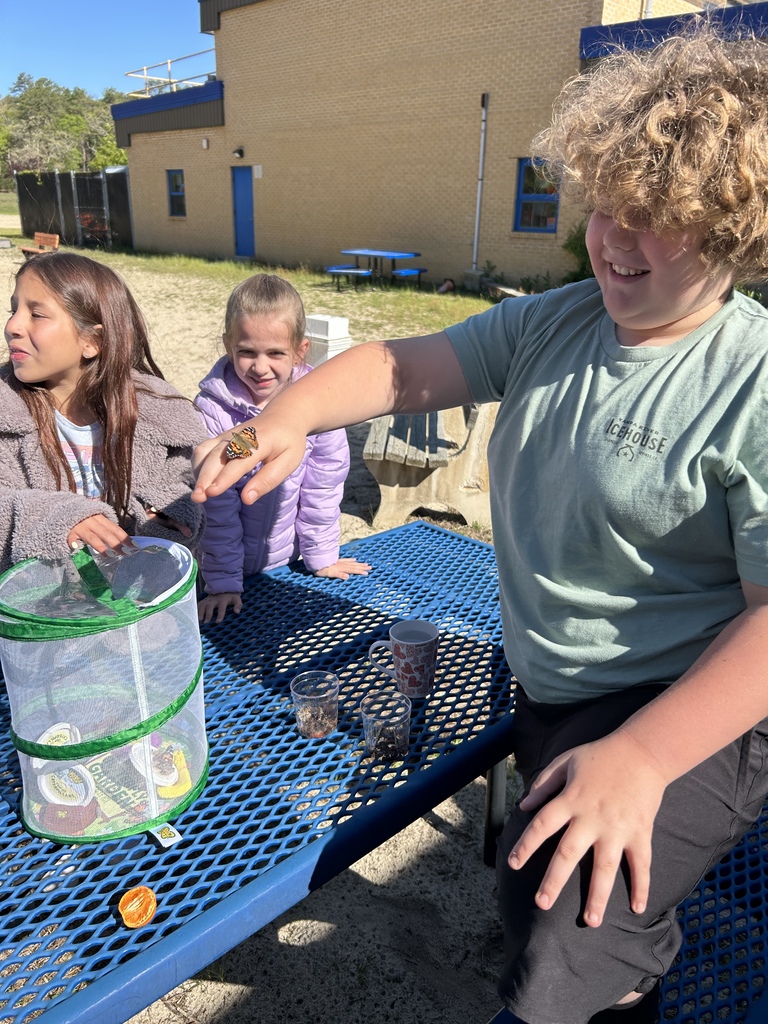 3rd grade butterfly release