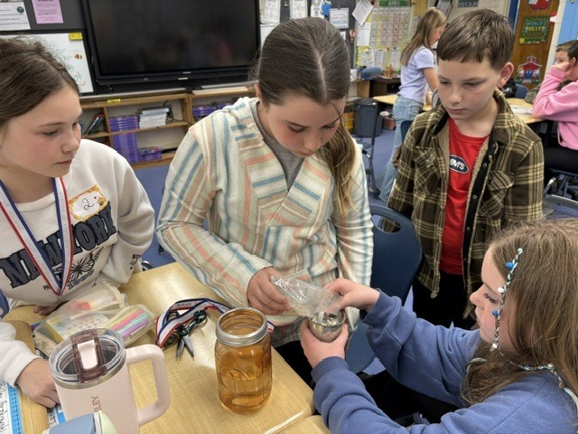 5th grade planting