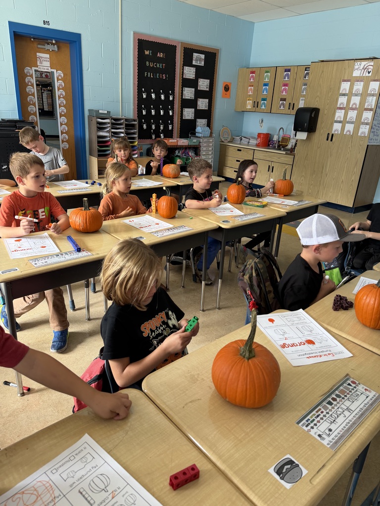 Pumpkin study