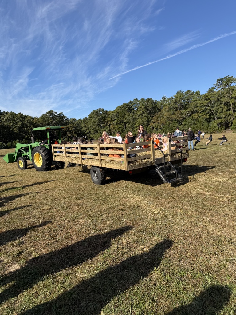 Fall Fest
