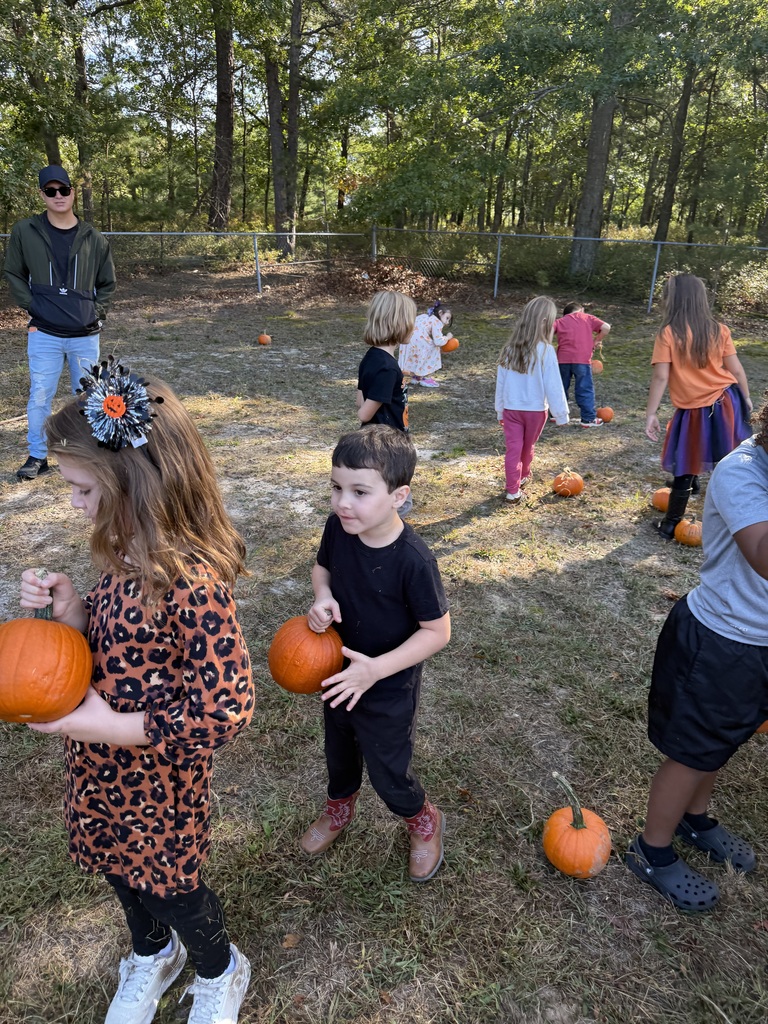 Fall Fest