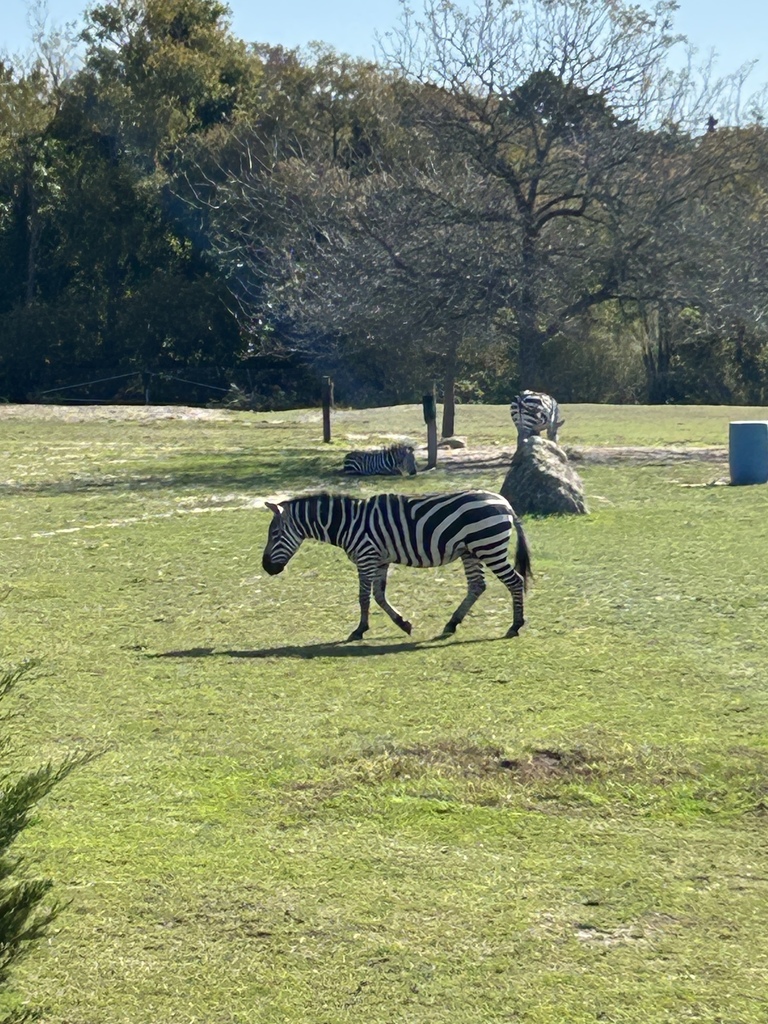 3rd grade class trip