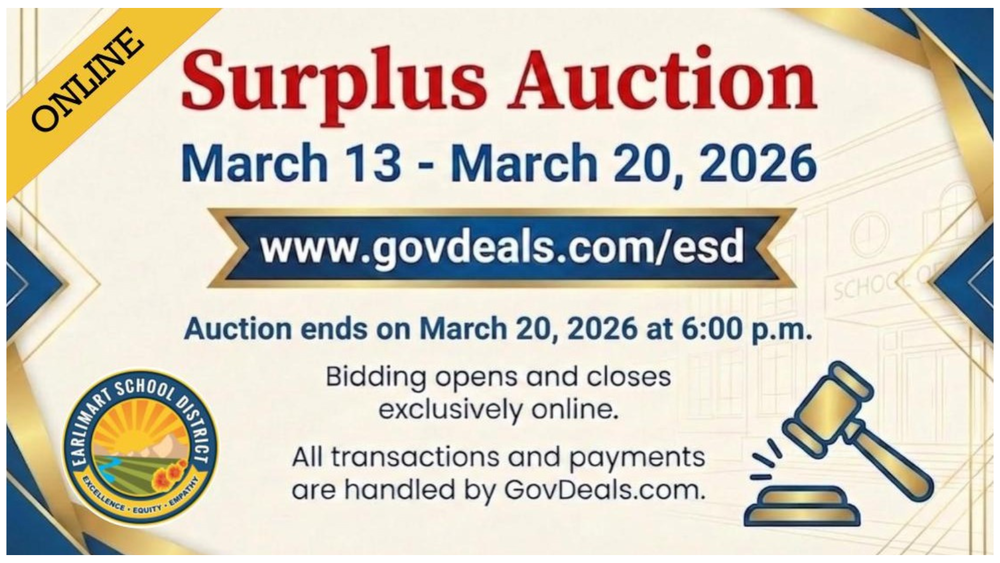surplus auction details