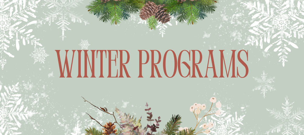 snow flakes and Christmas reef 