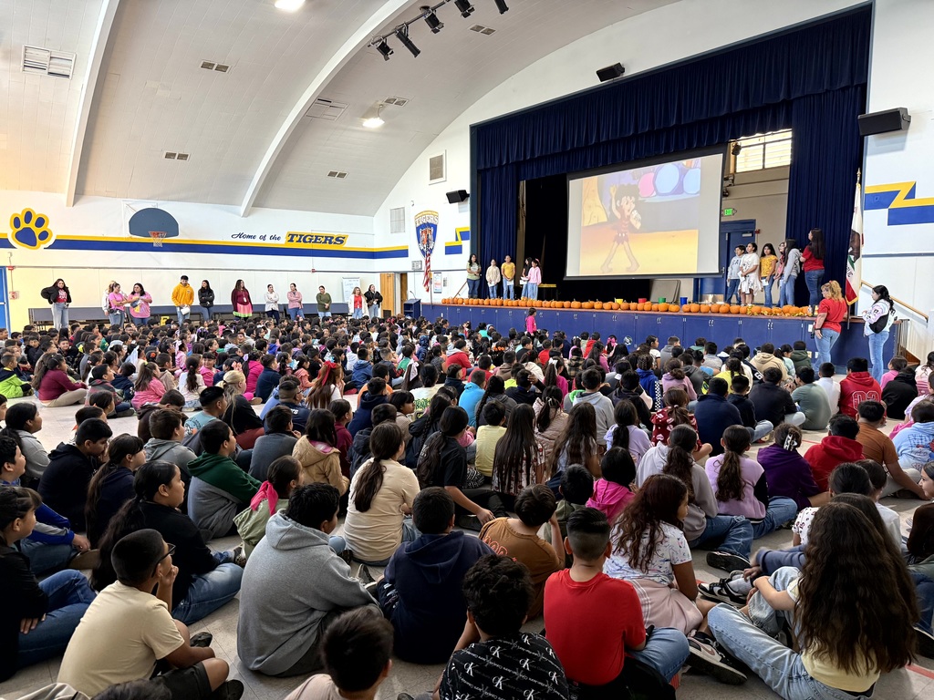 assembly with the school