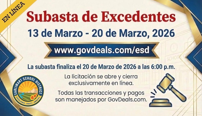 surplus auction details (Spanish)