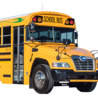 bus