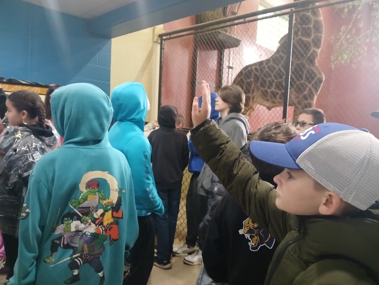 zoo