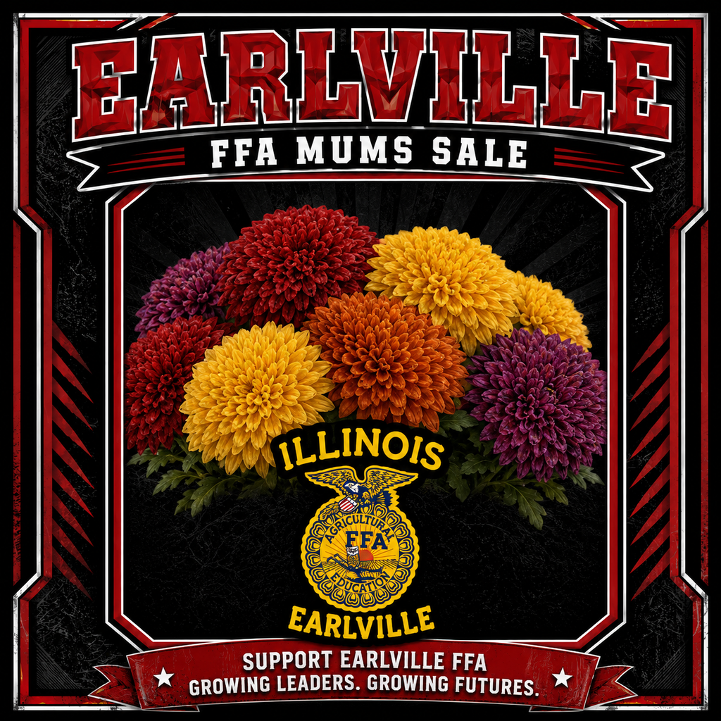 MUMS SALE