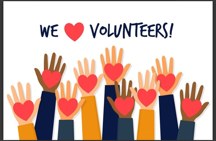 Volunteer