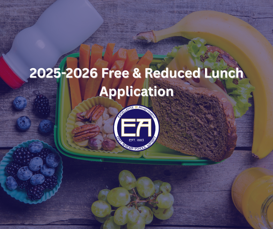 healthy lunch on a wooden table