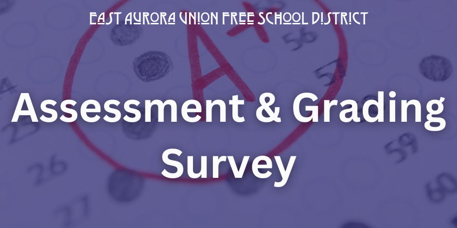 assessment and grading survey