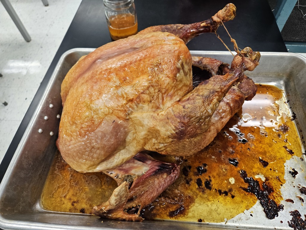 thanksgiving turkey
