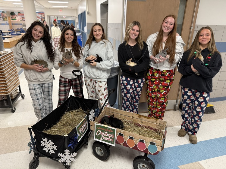 Sus Ag students ready to spread holiday cheer with bunnies!