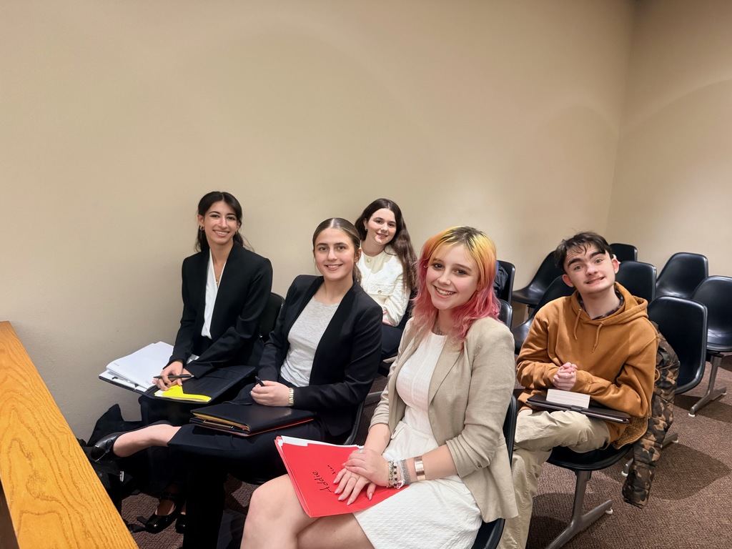 student witnesses in court