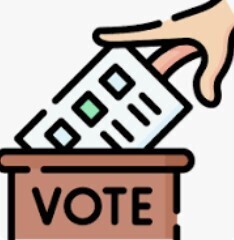 budget vote icon