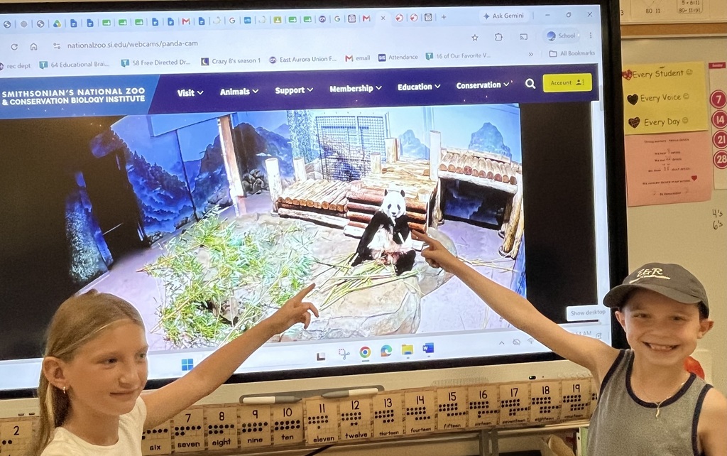 students pointing to a panda on the smartbaord