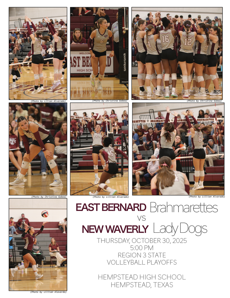 Bi District Volleyball