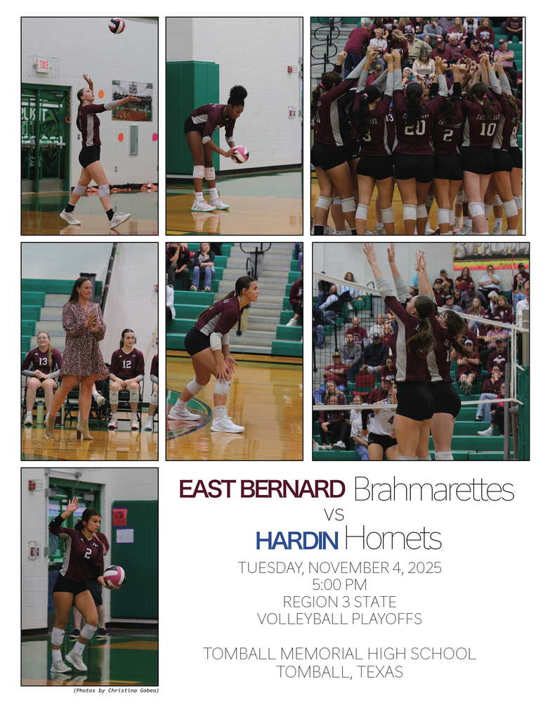 Area Round VB Playoffs