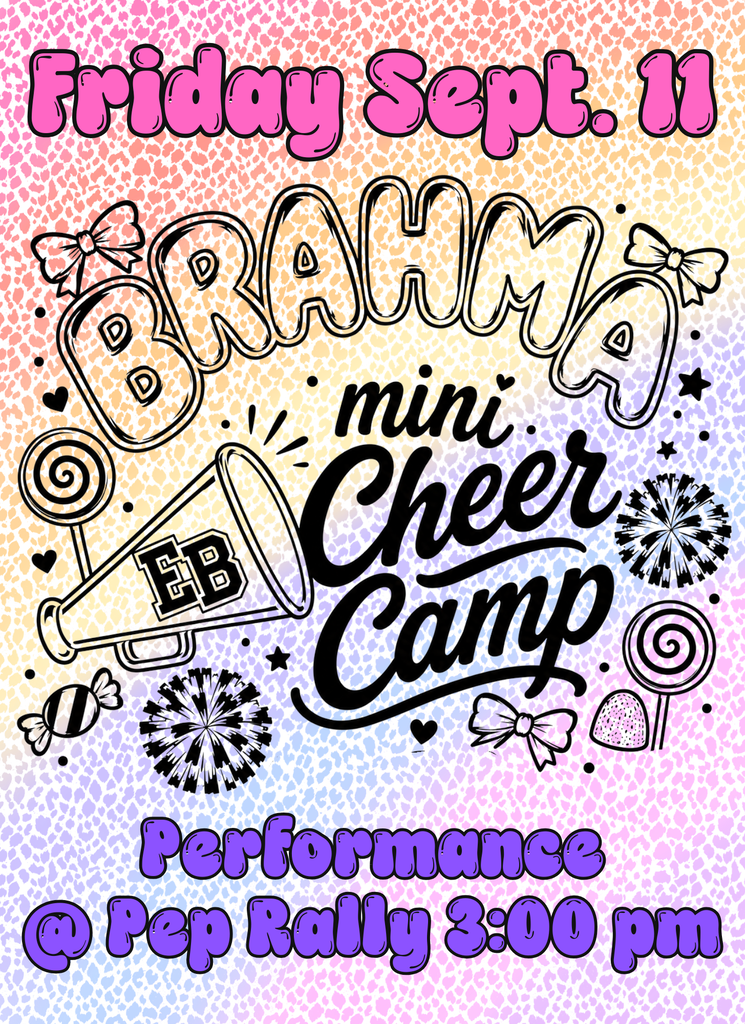 Mini Cheer Camp Performance