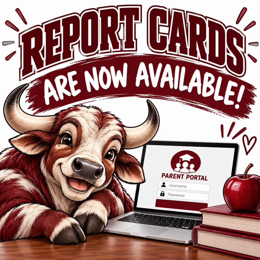 Report Cards