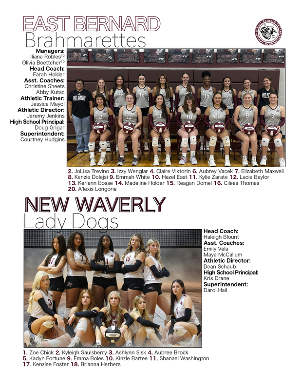 Bi District Volleyball