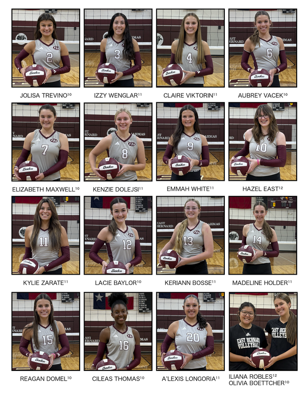 Area Round VB Playoffs