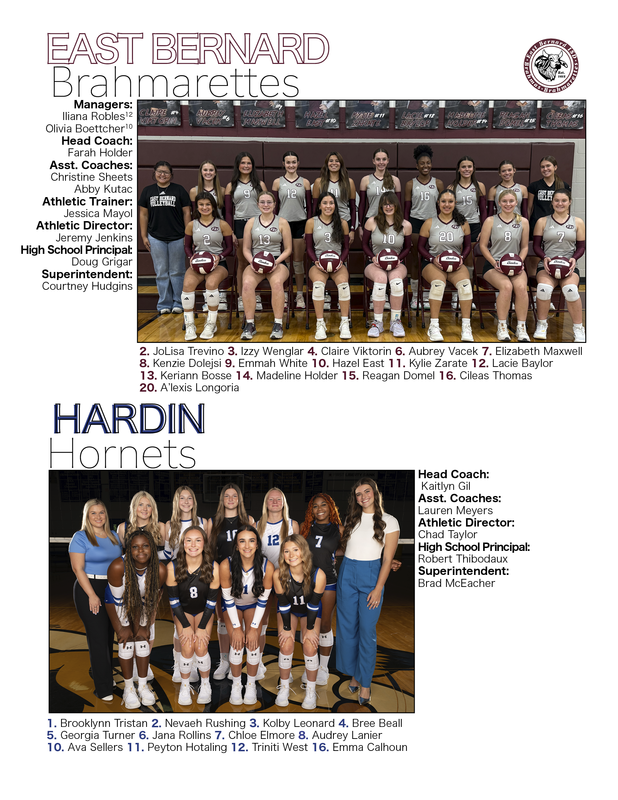 Area Round VB Playoffs