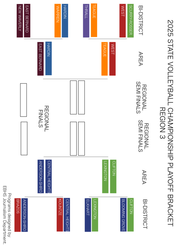 Area Round VB Playoffs