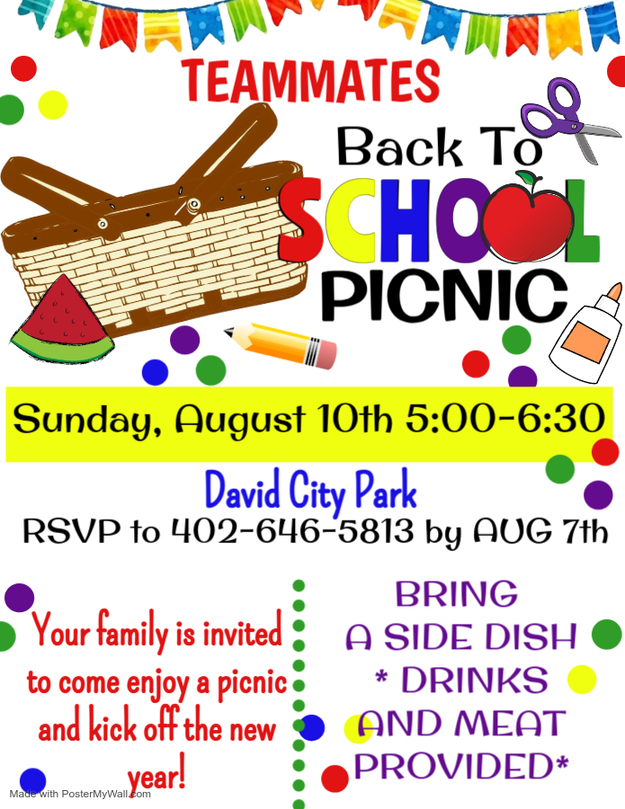 Teammates Picnic