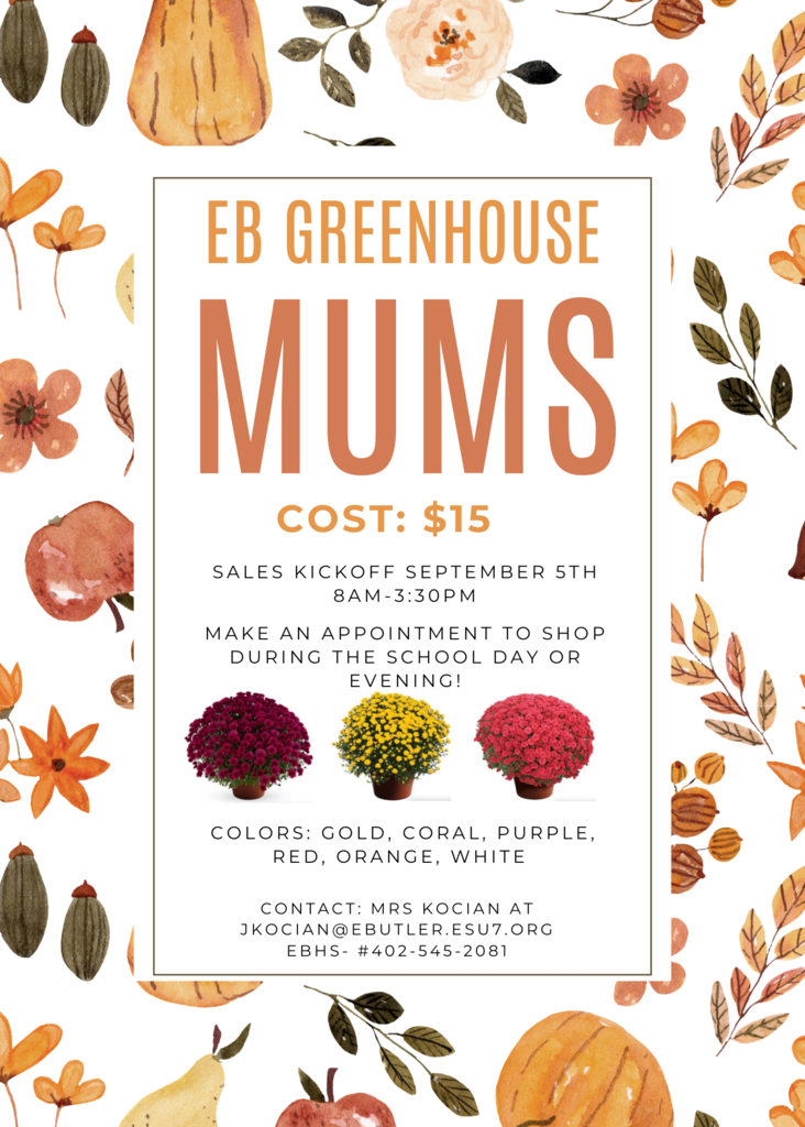 Fall mums