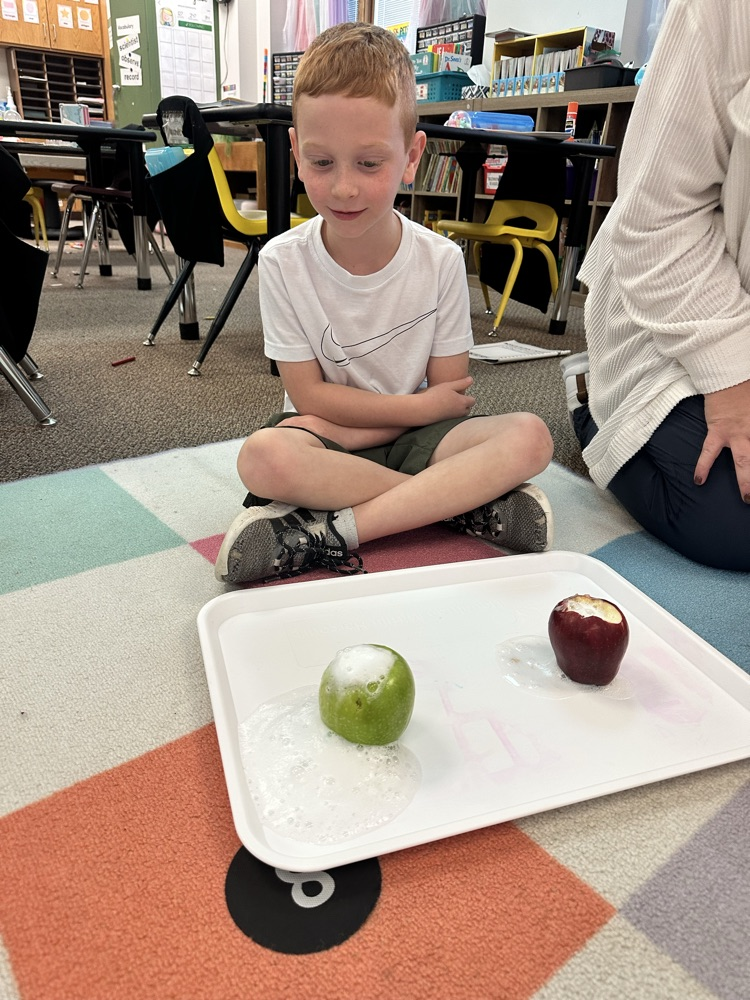 Apple day