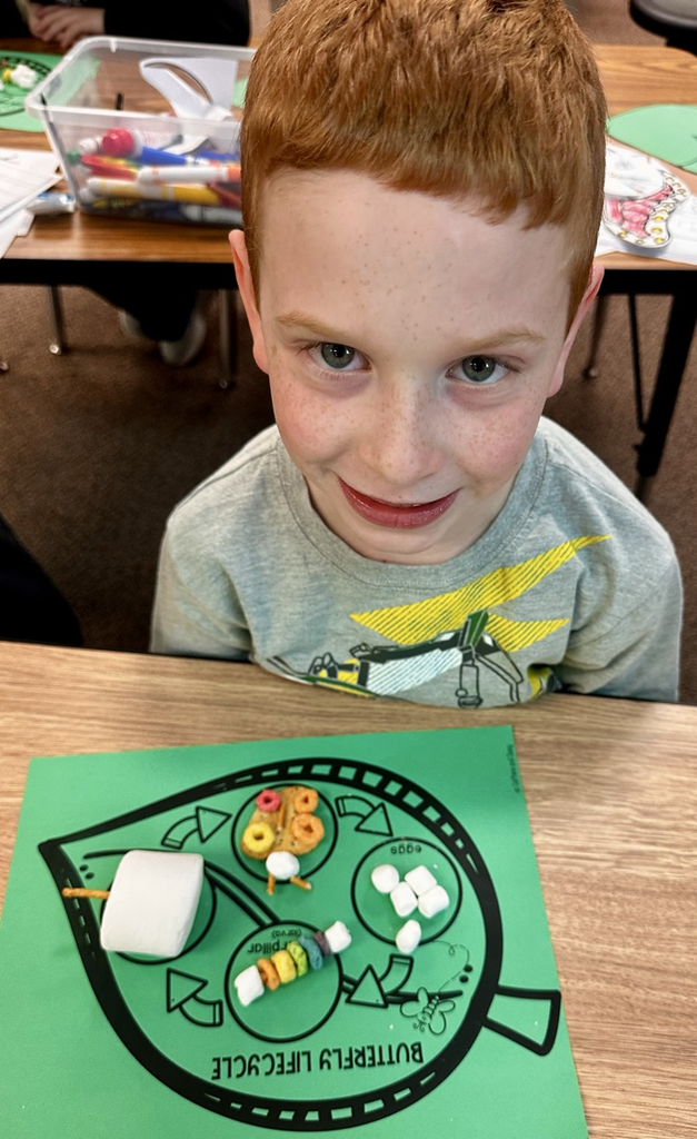 life cycle of a butterfly