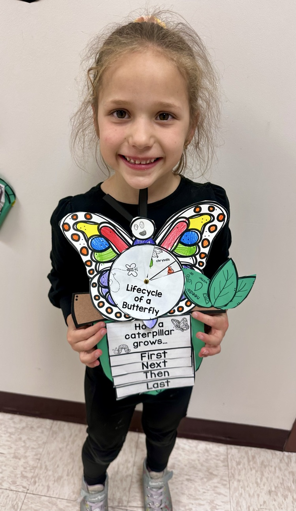 life cycle of a butterfly