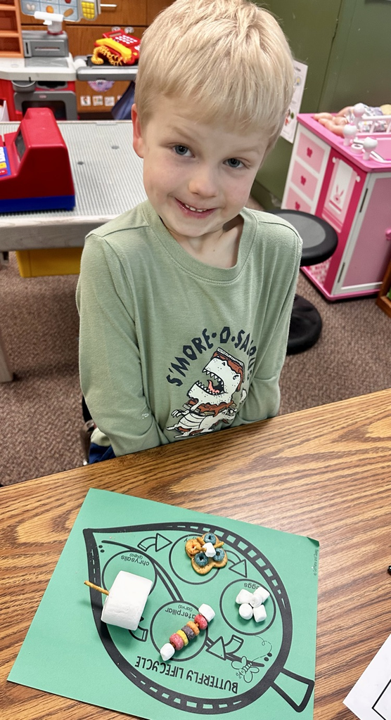 life cycle of a butterfly