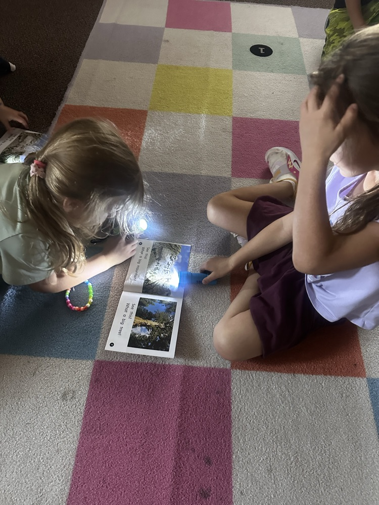 iendship and flashlight