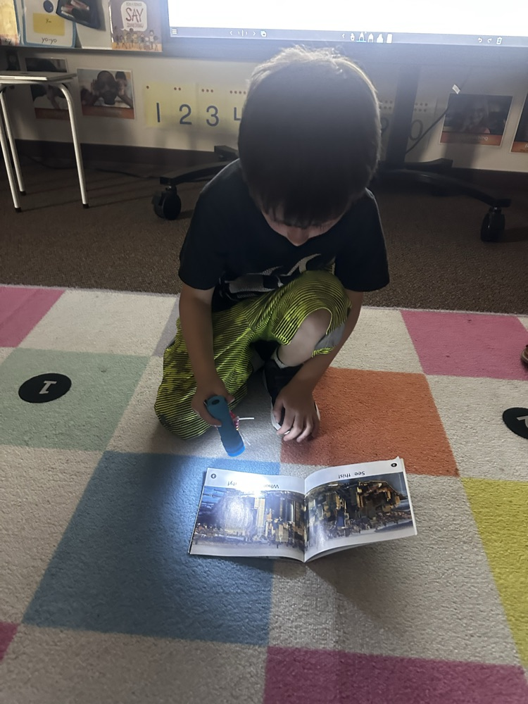 iendship and flashlight