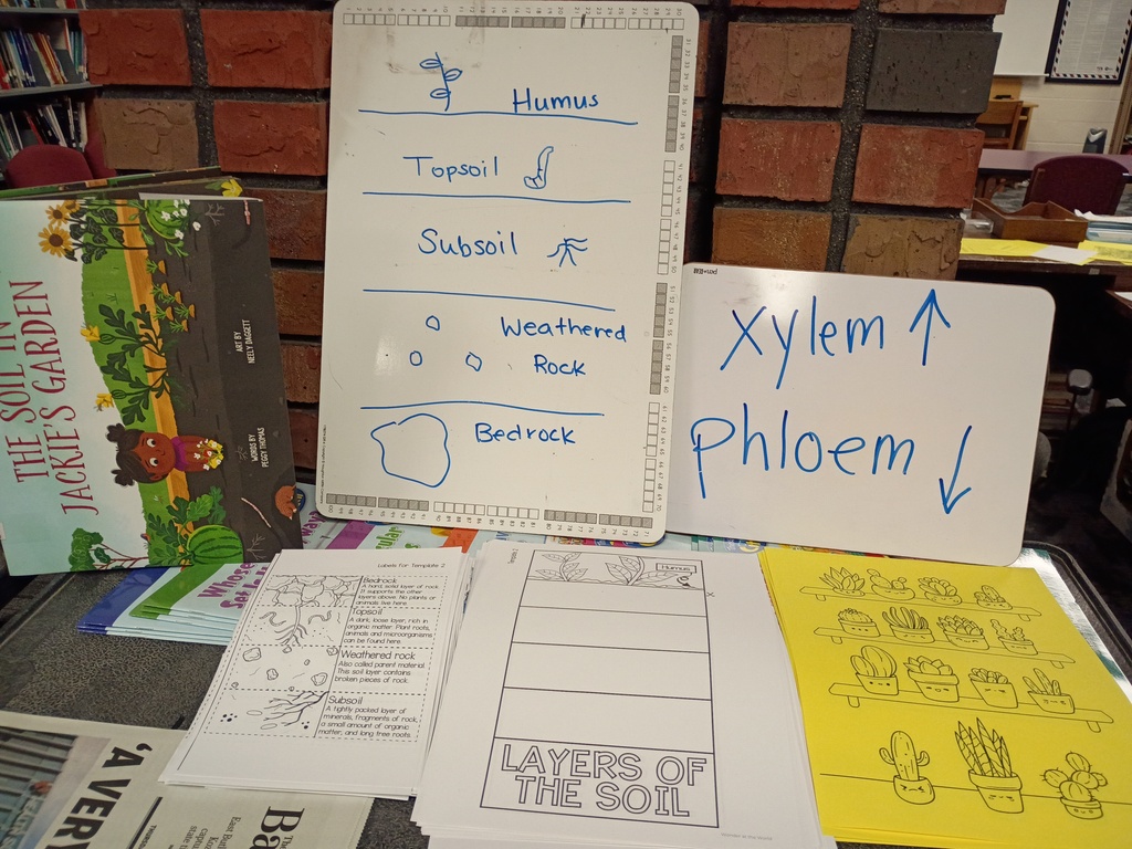 Summer Library week 1