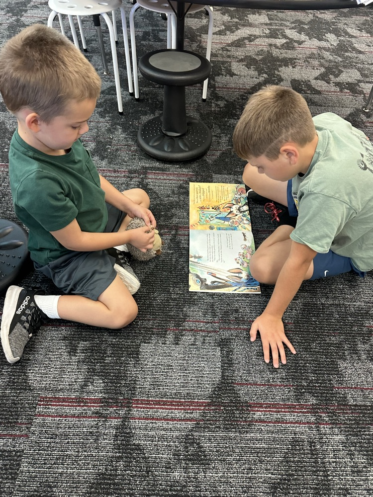 reading