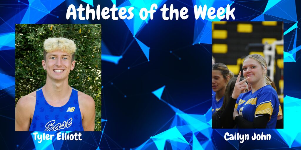 aow tyler and cailyn