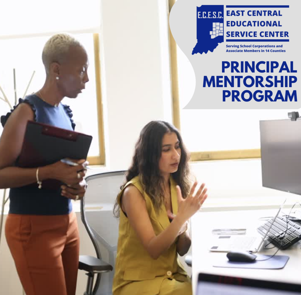 Principal mentorship