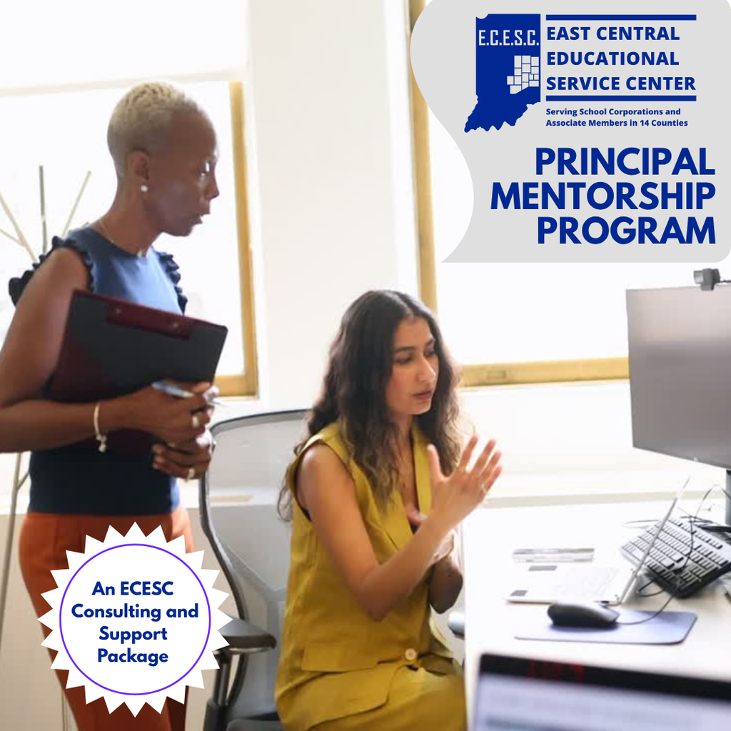 Principal Mentorship 
