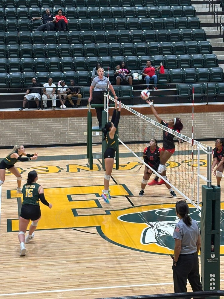 Volleyball
