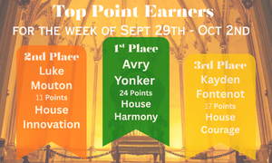 Top 3 house point earners