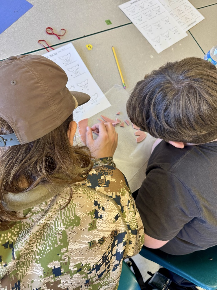 Swine ear notching in progress!