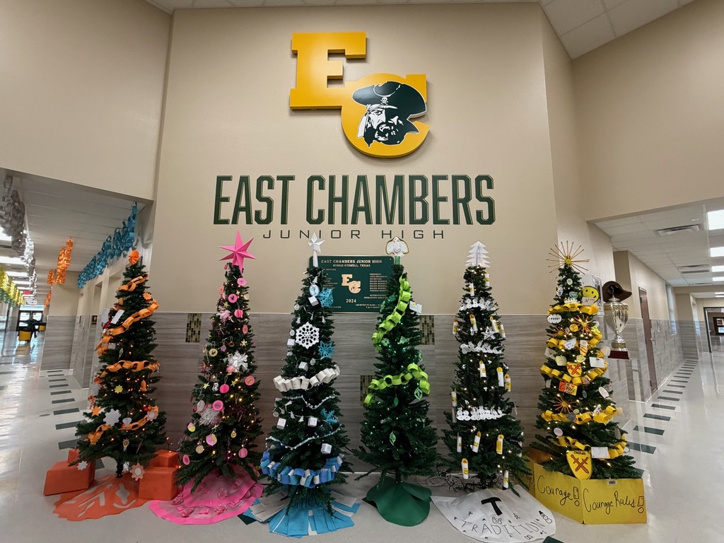 House Christmas Trees